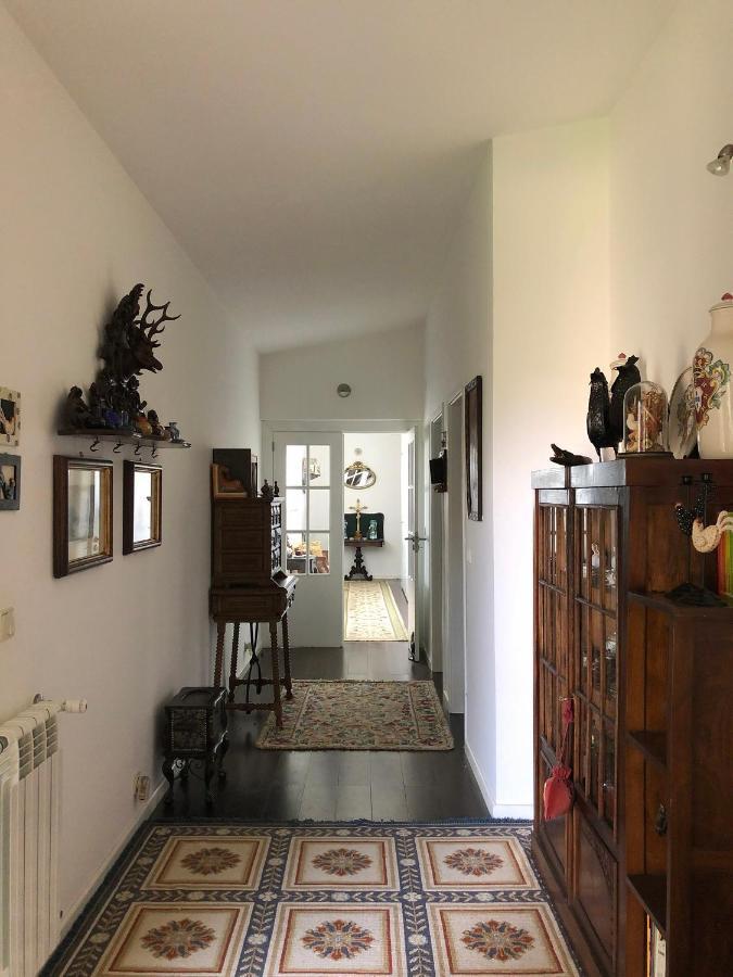 Casa Do Galo / Galo House Villa Vimioso Eksteriør billede